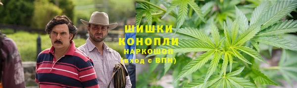 бошки Аркадак