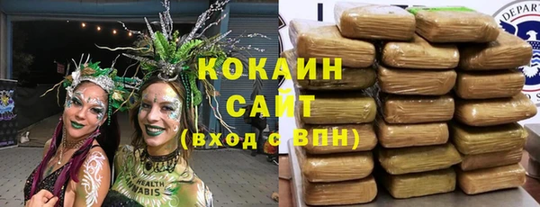 бошки Аркадак