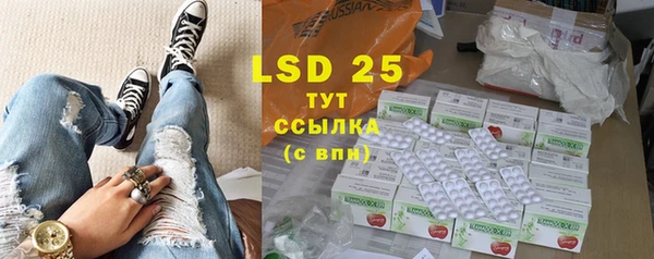 стаф Арсеньев