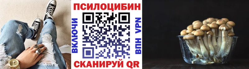 Псилоцибиновые грибы Magic Shrooms  даркнет сайт  Видное 